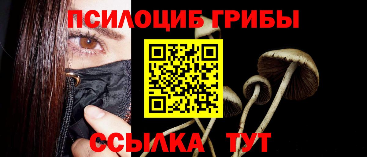 Галлюциногенные грибы мицелий  Вход с VPN  Псилоцибиновые грибы Psilocybine cubensis  Новосибирск 