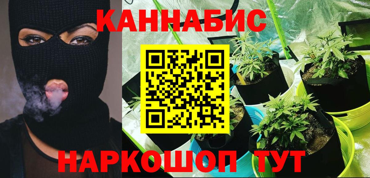 Бошки марихуана Bruce Banner  Бошки марихуана Amnesia  Вход с VPN  Канабис тримм  Новосибирск 
